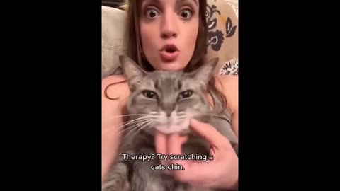New Funny Animals Video 2023 | Funniest Cats and Dogs Videos