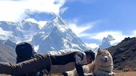 Husky nepal