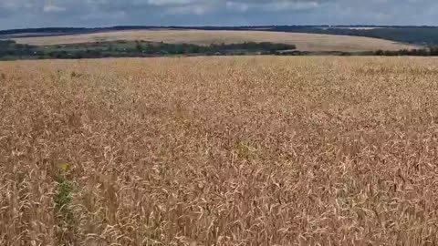 Grain Destroyed by Ukraine Amry Exposed by German Journalist