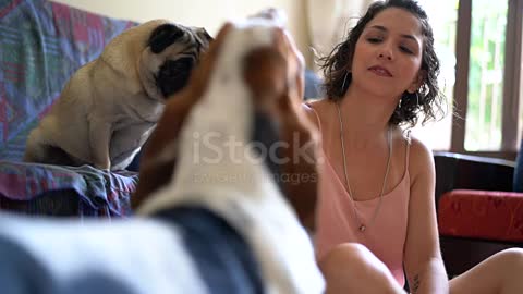 Young girl having fun with her dog at home stock video