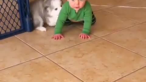 Kid with dog