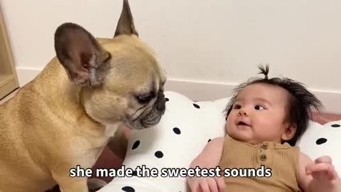 The Moment I Knew Our Baby Loved My Dog | Baby Talks To Dog | Baby Speaks To Dog