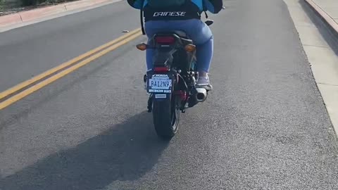 Doggy Enjoying Her First Motorcycle Ride