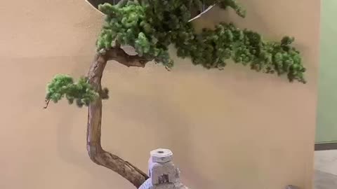 a special tree