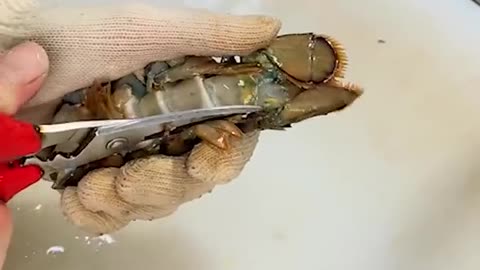 Chef cutting a alive 🦀 crab