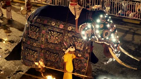 Elephants dressed in shimmering robe taking part with dancers and drummers in Buddhist