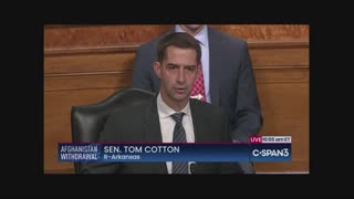 Sen. Tom Cotton asks General Milley: "Why haven't you resigned?"