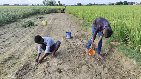 Daily Routine Village Life In India || Real Life in Indian Village || Indian Real Village.....