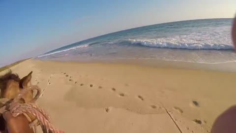 A Colt Chases its Mother as we ride her along the Beach (Pacific in Mexico)
