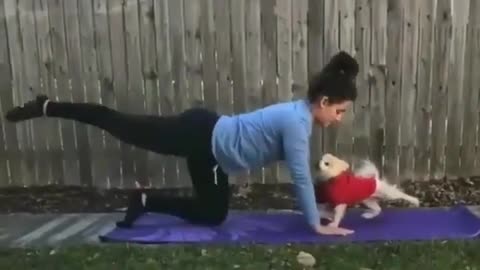 It's so smart and can be a fitness dog