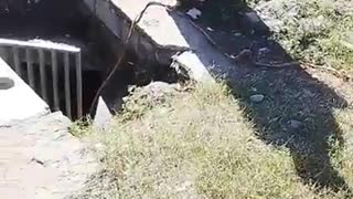 Desperate residents create a makeshift well to access water underground