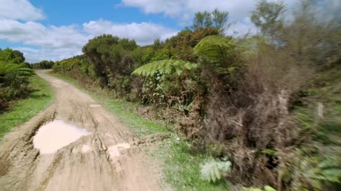 MTB Gravel Track Ride - ECNZ Pylon Track - Wainuiomata, NZ
