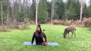 Quiet Outdoor INTUITIVE Yoga And Wildlife-Allow Space For Silence 🌍❤️ 22:22 min