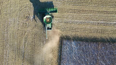 Rain on the scarecrow