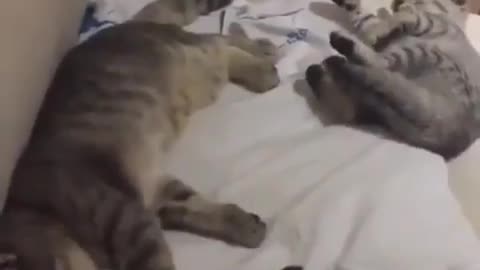 She is dreaming about something... watch till to the end