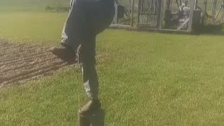 Kung Fu Crane Kick