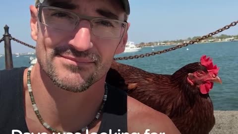 Swimming Chicken Helps Dad Cope with Losing His Best Friend - SAMMI | The Dodo