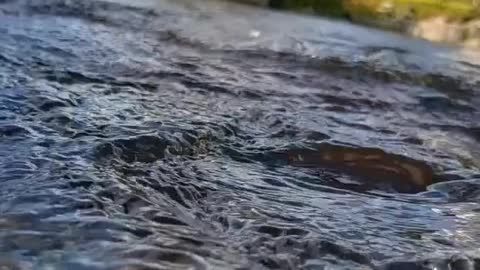 Best Musical voice of water