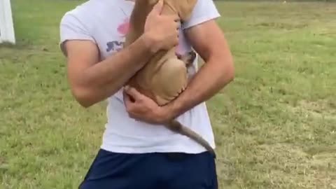 Wonderful Moment Cute Dog Hugs His Owner