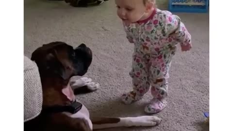 This baby can't stop talking to her doggy best friend