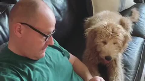 Man Sews Dog's Favorite Toy Back Together