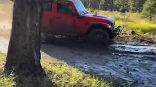 Jeep Slides Through Mud and Crashes Into Tree