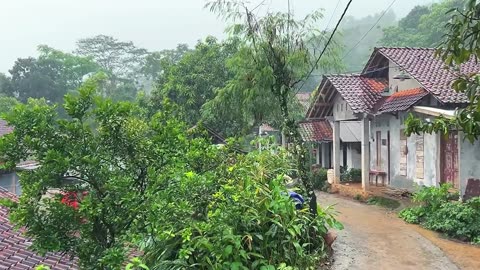 Heavy rainfall in beautiful indonesian rural--very strong and heavy--3 hours rain video