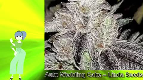 Auto Wedding Cake – Linda Seeds