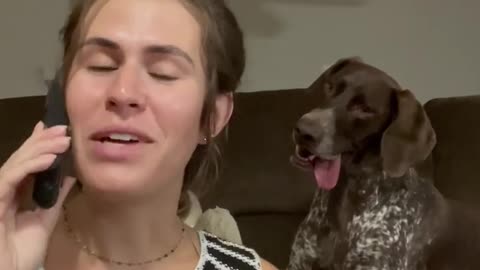 Curious dog listion in on phone calls #viral #pets #funny animals