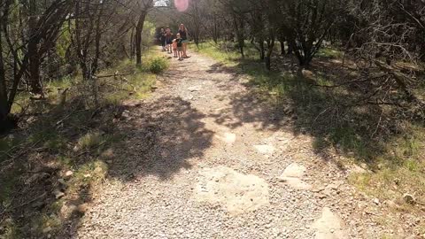 Hike, Crockett Falls, Georgetown, TX