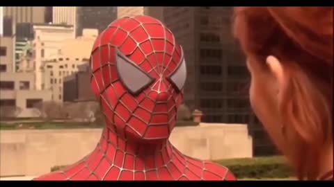 Spiderman - Who are you MEME