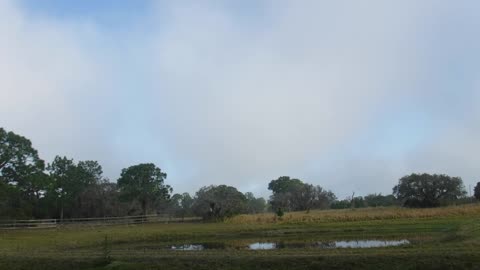 5 minutes of nothing but the peaceful view of our cow pasture and pond.