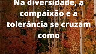 #compaixãoetolerância