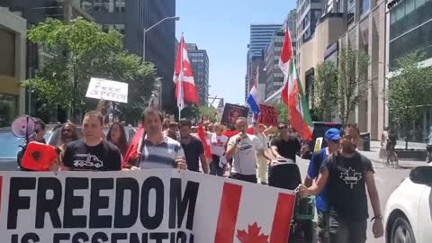 Canadians hold Netherlands flags to show solidarity with the #DutchFarmers