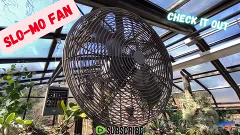 SLO-MO Fan