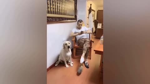 1 Hour Trending Funny Cat and Dog Video "Laugh Out Loud: 😂🎉