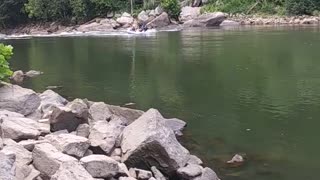 White Water Rafters trapped in a swill. no injuries, @ Under New River Gorge Bridge of West Virginia