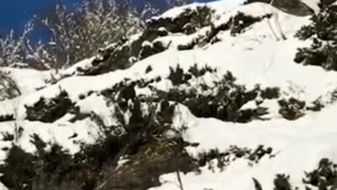 skiing down the snow mountains goes wrong and crashes on the camera