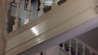 Guy in black shirt jumps from stairs and falls down