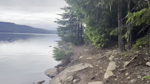 Hiking from The Cove towards Hood View Campground – Timothy Lake – Mount Hood – Oregon – 4K