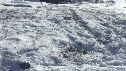 Snowboard rock ledge legs in air