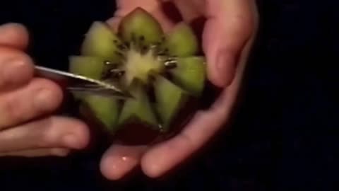 Beautiful Kiwi Fruit Lotus Flower