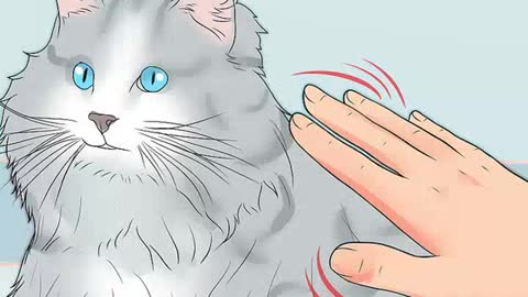 How to Calm A Cat in Heat (Helpful Tips)