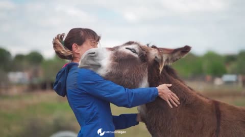 maravilloso momento de abrazo entre burro y cuidadora