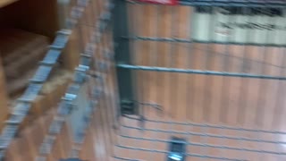 Trader Joe's keeps Handicapped Electri Chairs blocked for over a year