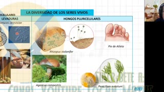 VERANO ADUNI 2023 | Semana 01 | Química P2 | Biología