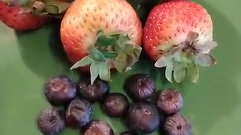 Skaltsia Skaltsiak#abenaki #howtosay #berries #translate #berry #vermont #berrypicking #berryfam