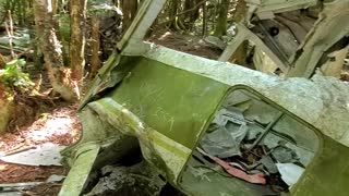 Hiker Finds Plane Wreckage
