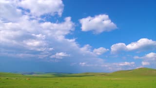 Aerial photography of China-grassland