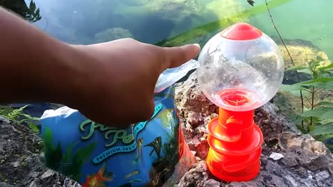 WORLD'S FIRST Gumball Machine AQUARIUM! DIY